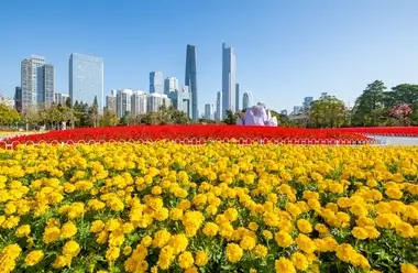Flower City Square