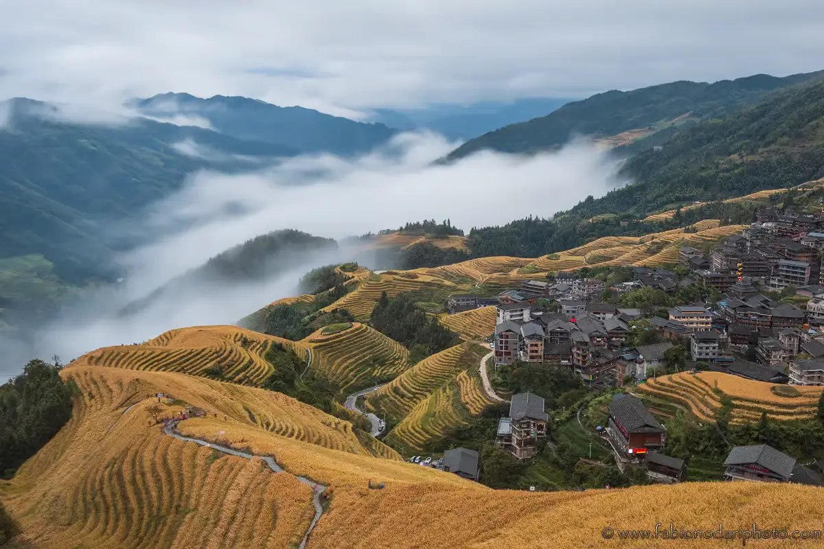 Longji Rice Terraces