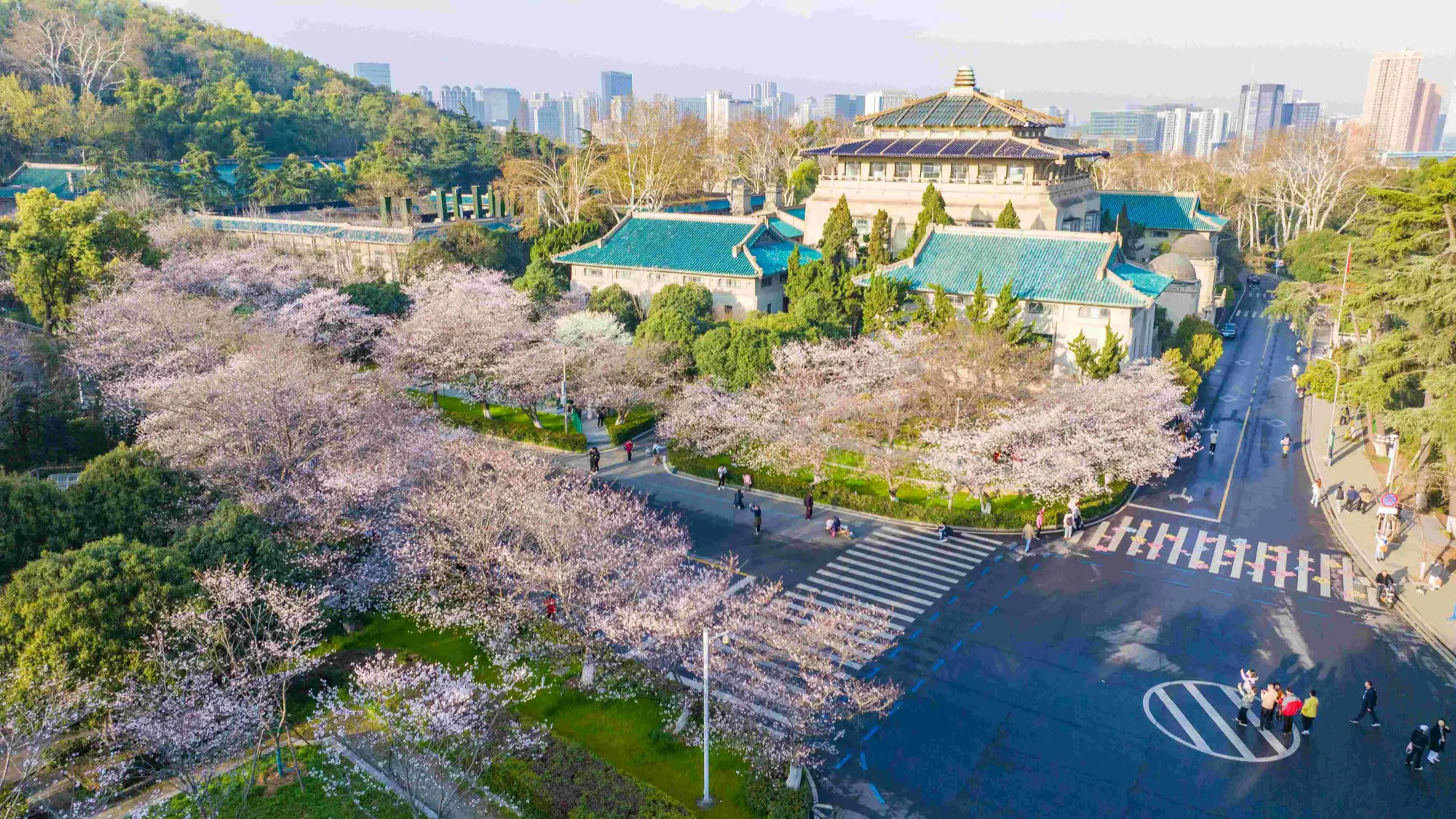 The Ultimate China Travel Tips Guide: Solving Common Traveler Questions 6 Wuhan University Cherry Blossom