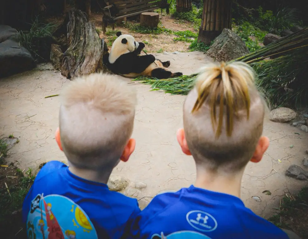 Where to Travel in China During School Holidays (2026 Guide) 14 family travel in china during school holidays panda