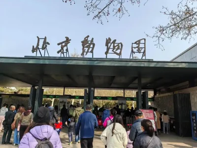 Beijing Zoo Beijing family tour