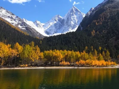 Chengdu private tour Bipenggou Scenic Area