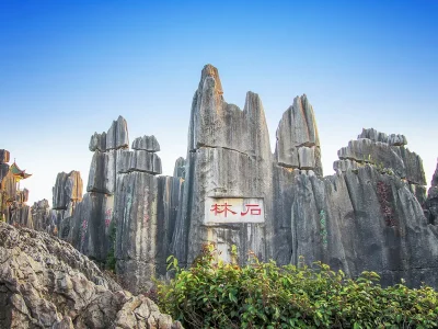 Stone Forest