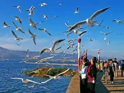 Yunnan Erhai Lake tour